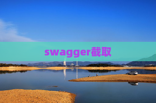 swagger截取